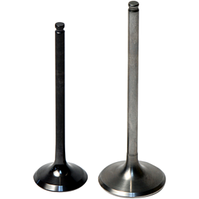 Intake Valve 8400002-2