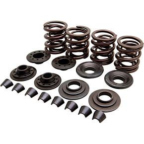 Valve Spring Kit - XL 20-20440