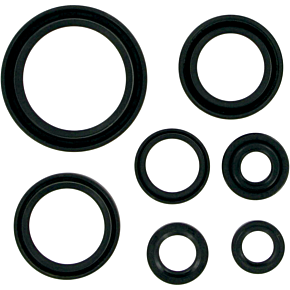 Moose Racing Motor Seals MSE RM250