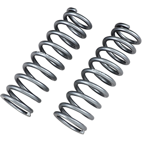 Front Shock Springs - Silver 79-13807