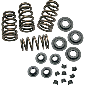 Ss Cycle Spring Kit - .650" 900-0050