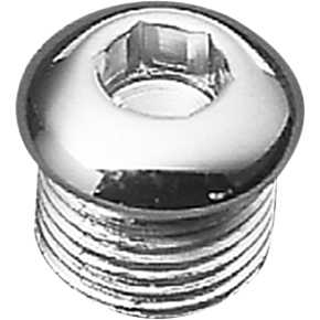 Timing Plug - Allen - Harley-Davidson® DS-190785