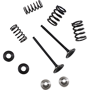 Moose Racing Valve and Spring Kit