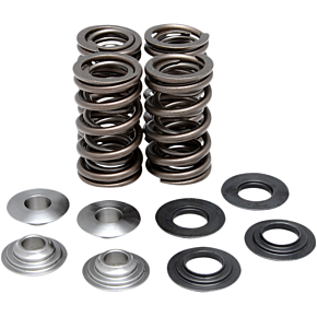 Valve Spring Kit 80-80410