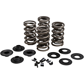 Kibblewhite Spring Kit - .650" - Evolution/Twin Cam 20-21650