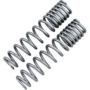 Rear Shock Springs - Silver 79-13869