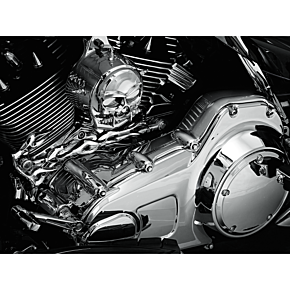 Kuryakyn 1 Piece Inner Primary Cover