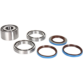 Moose Racing Rear Differential Bearing and Seal Kit - 1205-0255