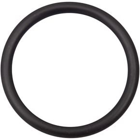 Starter O-Ring - Street 500/750 ST-11900028