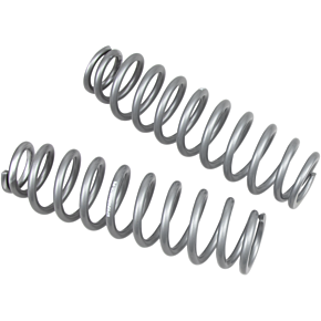 Rear Shock Springs - Silver 79-13838