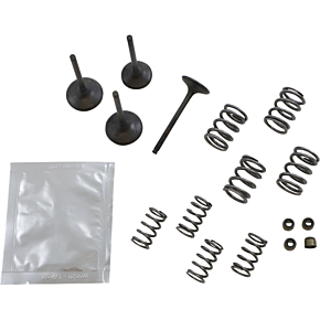 Valve Kit SVKB4409