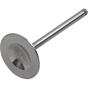 Intake Valve DW-KX450F-IV09