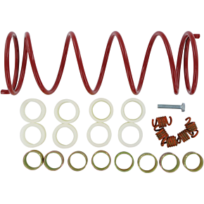 Epi Clutch Kit WE491011