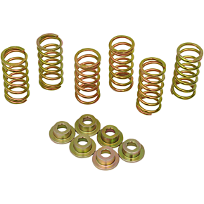 Clutch Spring Kit 505-45-06050