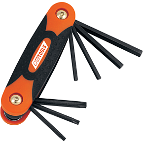 Hex/Torx® Set FHT1