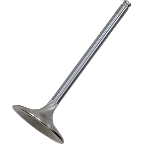 Valve - Intake - +1.00 mm 30-33813H