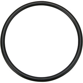 5th Gear O-Ring - XL 11113