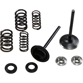 Intake Spring Kit 30-33250