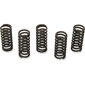 Clutch Spring Kit 501-32-05049