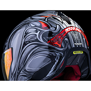 Domain™ Helmet - Nouveau - Silver - 3XL 0101-18529