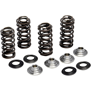 Spring Kit 80-81400