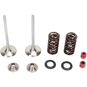 Moose Racing Valve and Spring Kit