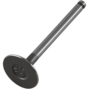 Prox Intake Valve 28.1070-2