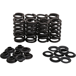 Spring Kit 30-33800