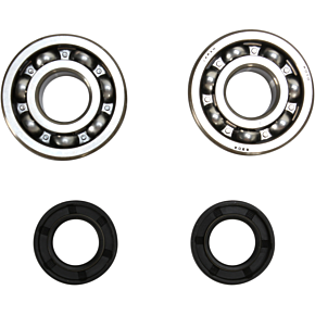Crank Bearing and Seal Kit 23.CBS61097