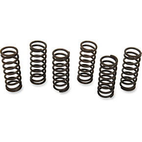 Clutch Spring Set 501-43-06024