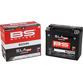 Battery - BGZ20H (GYZ) 300938