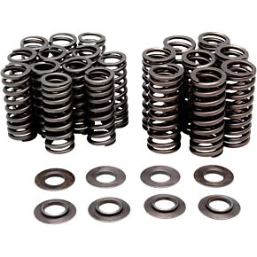 Valve Spring Kit 80-80394