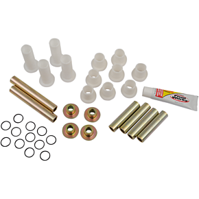 A-Arm Bearing Kit - Back Lower PWAAK-P03-000L