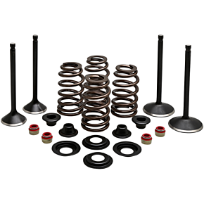 Kibblewhite Complete Valve Kit - Evolution/1200 20-22850