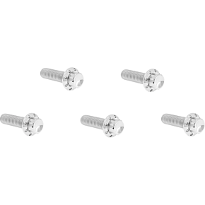 Bolt Kit - Derby Cover - 12-Point - Titanium - Polished 300-938