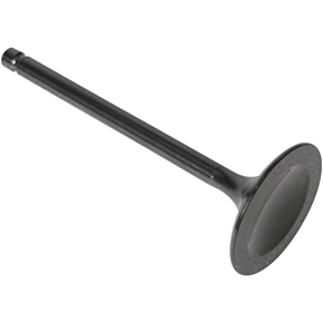 Intake Valve 30-3115