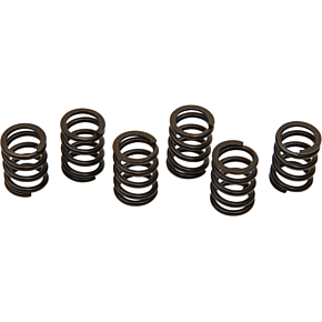Clutch Spring Set 501-38-06012