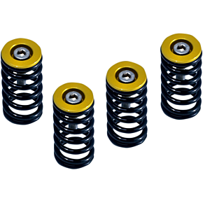 Clutch Springs 519-25-06090