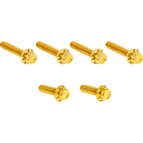 Bolt Kit - Cable Clutch - Titanium - 12-Point - M8/Twin Cam - Gold 300-705