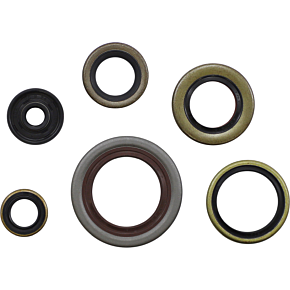 Oil Seal Gasket Kit 0935-1197