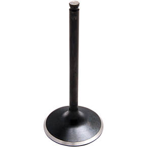 Intake Valve 80-82312