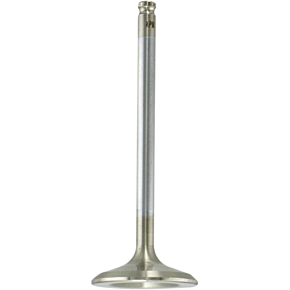 Intake Valve 80-80215H