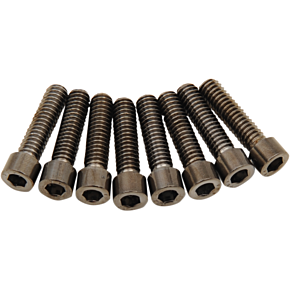 Lifter Smooth Bolt Kit - Black/Chrome - M8 2401-1020