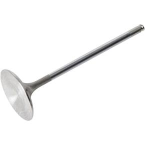 Intake Valve 40-4372H