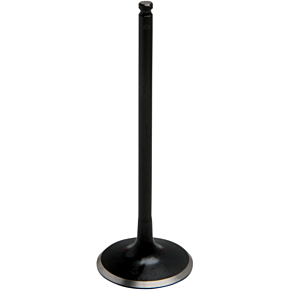 Exhaust Valve 80-81316