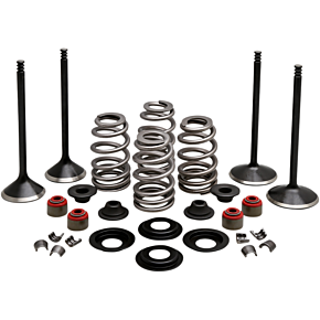 Kibblewhite Complete Valve Kit - Evolution/1200 20-22950