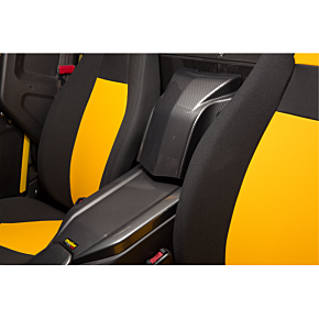 Intake Cover - Black Carbon 19037-30