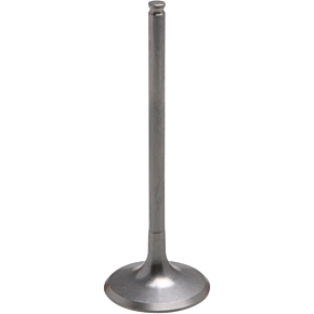 Intake Valve - Honda 30-31162T