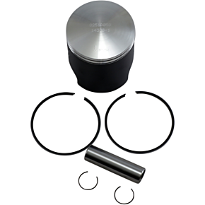Piston Kit 8251D150