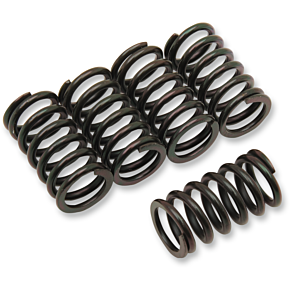 Clutch Spring Set 501-40-05017